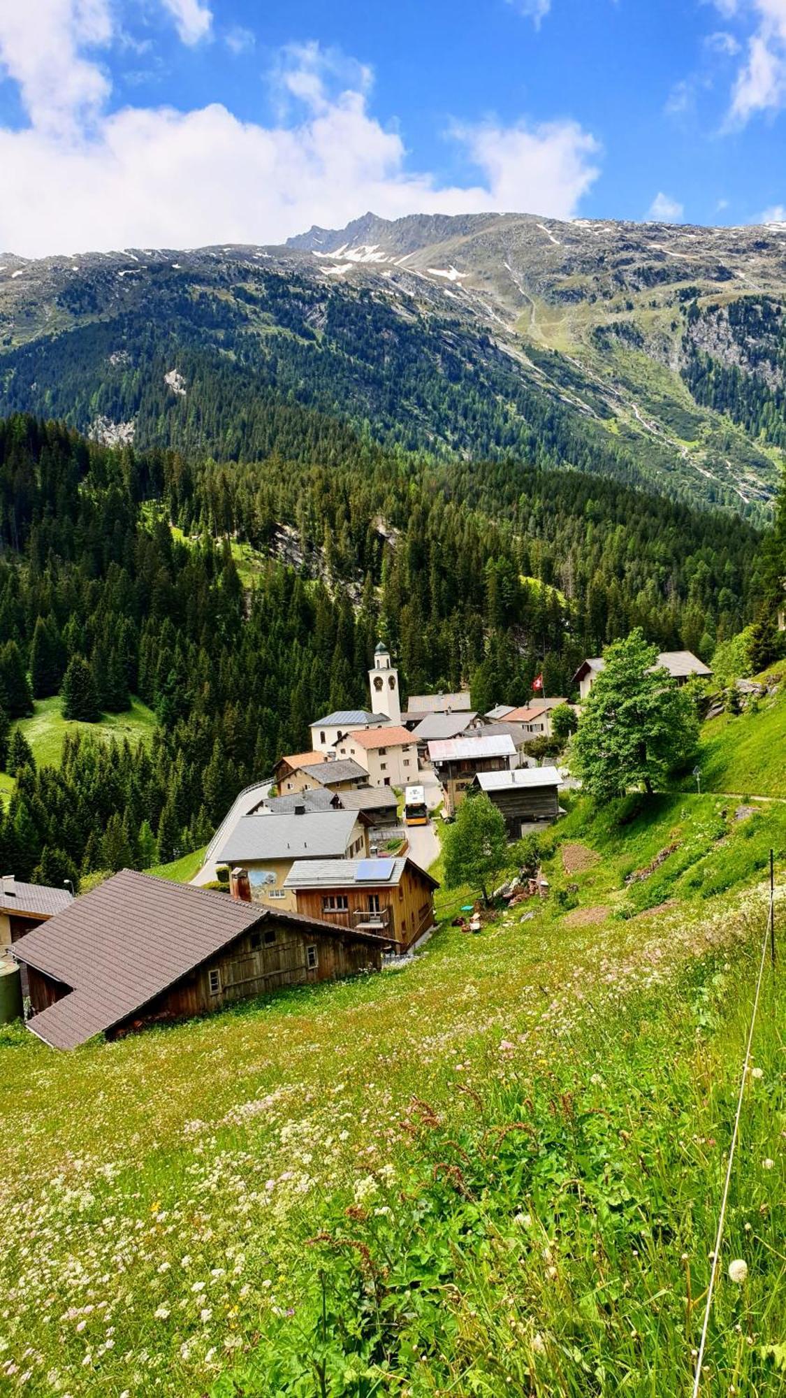 Gasthaus Alpenrose Innerferrera Exterior foto
