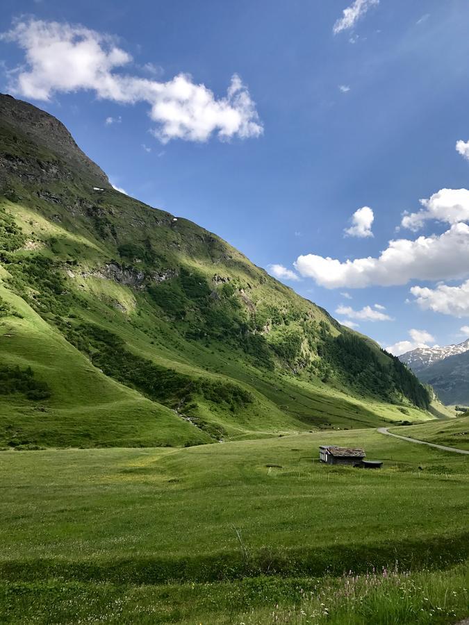 Gasthaus Alpenrose Innerferrera Exterior foto