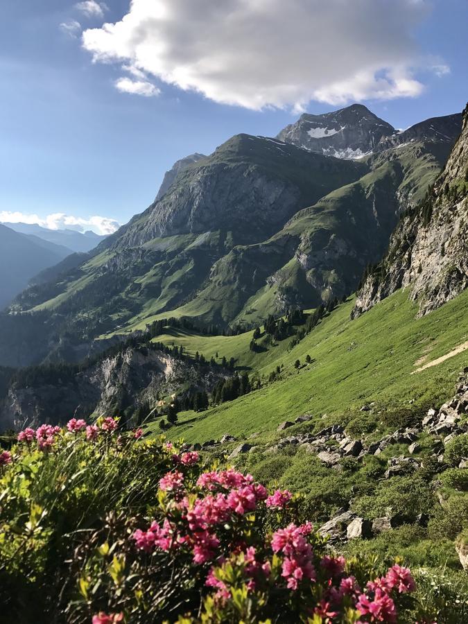 Gasthaus Alpenrose Innerferrera Exterior foto